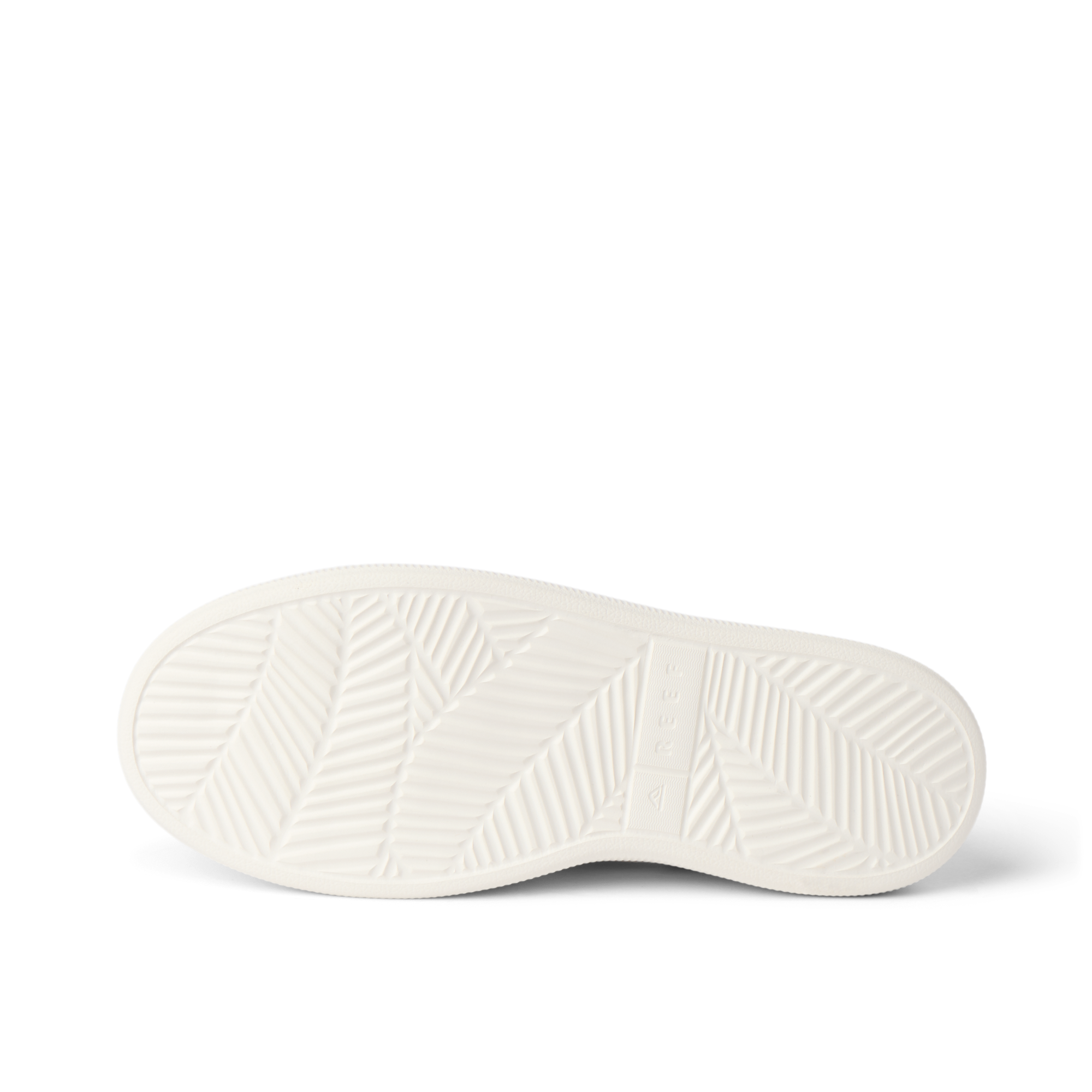 Reef Neptune - Image 7