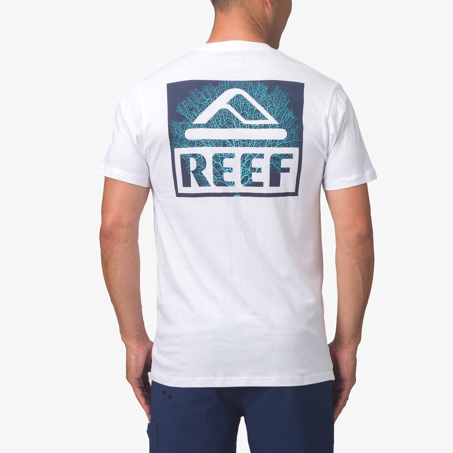 Alternative view of Seafan Tee